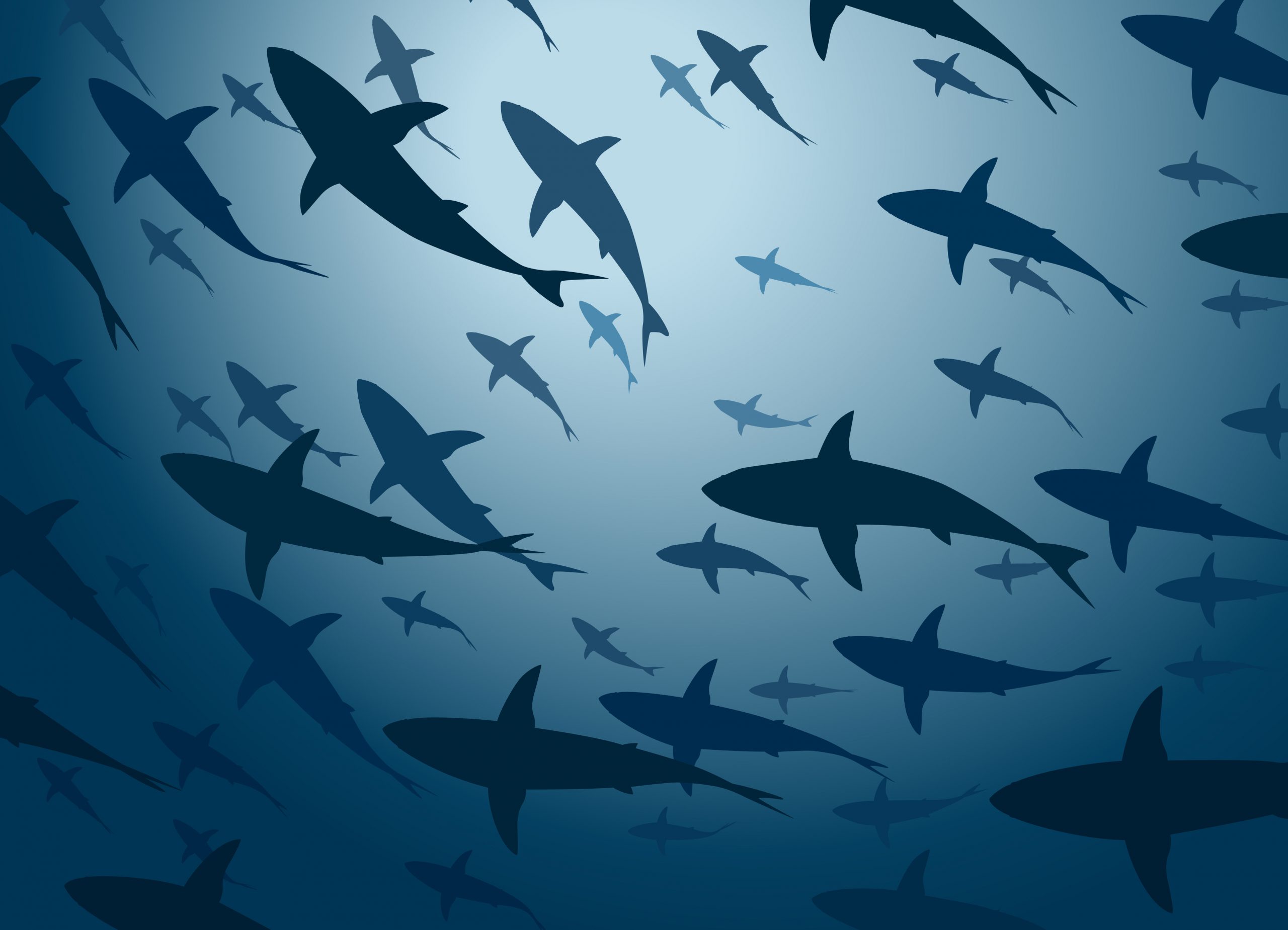 Swim with “sharks” (or pitch to them!) at Digital Quality Summit